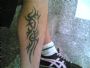 17/6/2005: tribal tattoo